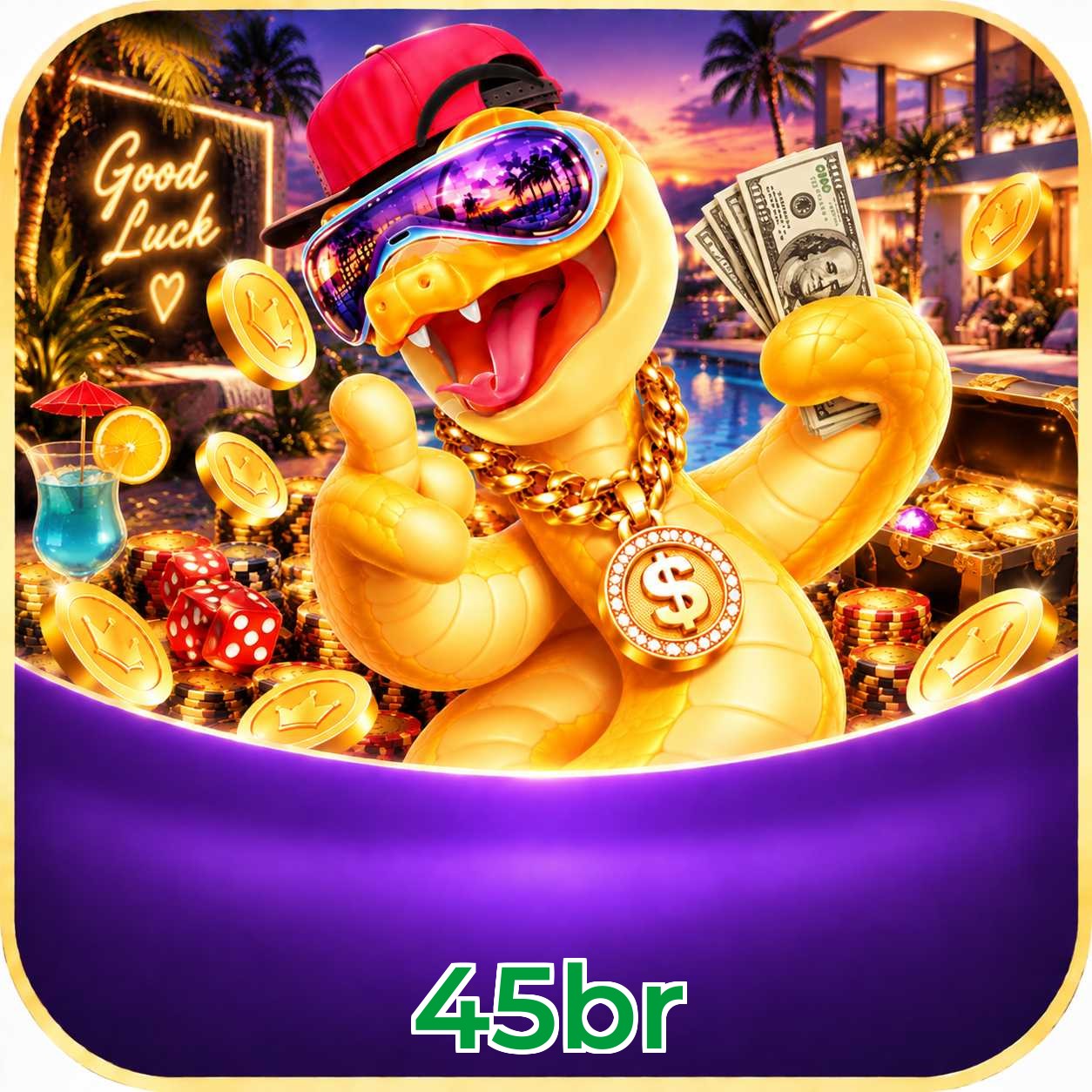 45br FAQ