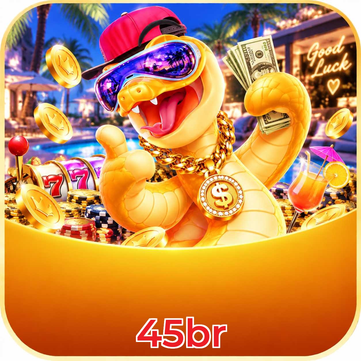 45br VIP Program